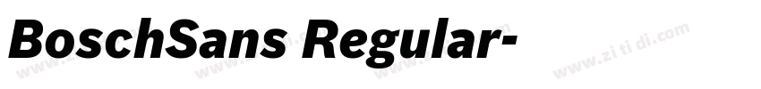 BoschSans Regular字体转换